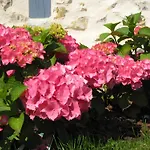 Manoir Du Petit Saint-pierre לינה וארוחת בוקר 4*