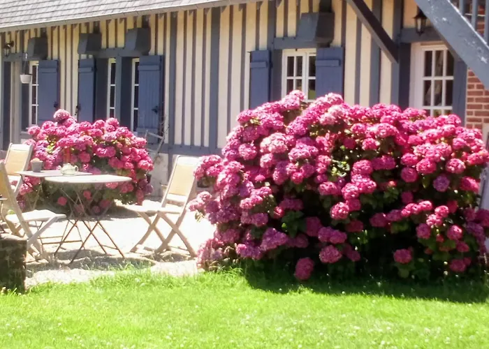 Manoir Du Petit Saint-pierre Couette-café